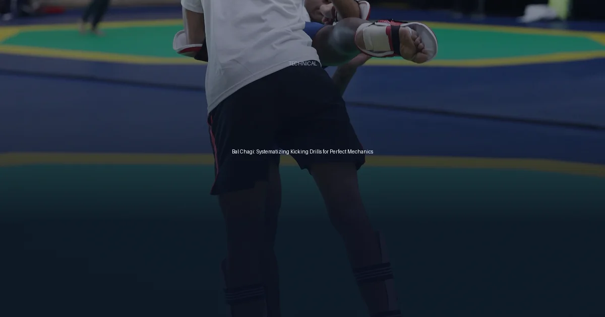 Bal Chagi: Systematizing Kicking Drills for Perfect Mechanics